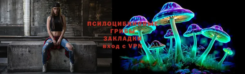 Псилоцибиновые грибы Psilocybe  Большой Камень 